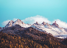 乐鱼体育平台-乔纳森控诉泰达：把我当外国狗 已不再值得我忠诚