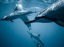 乐鱼线上服务-邓亚萍：为什么从一位体育明星，变成公益明星？